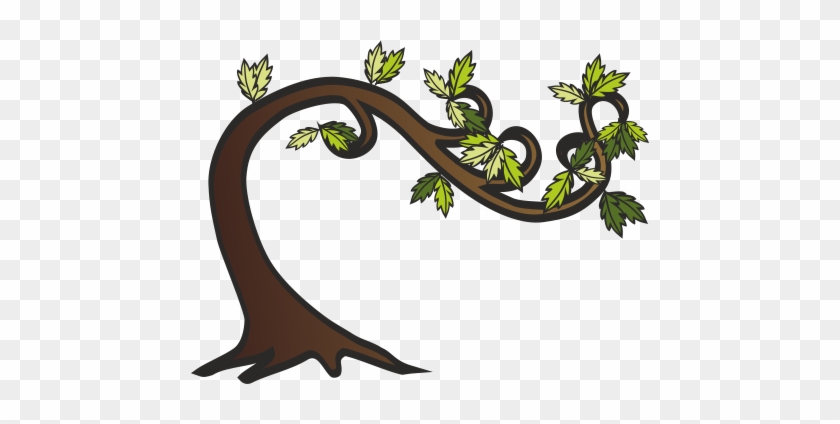 Tree #422610