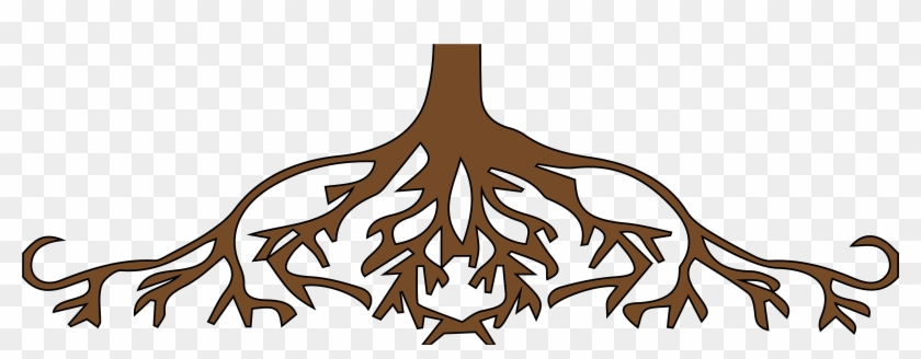 Animated Tree Roots - Parts Of The Tree Roots - Free Transparent PNG  Clipart Images Download