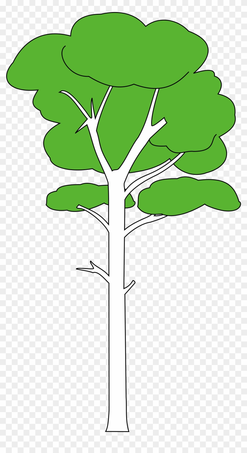 January Tree Cliparts - Clip Art Tall Tree #422636