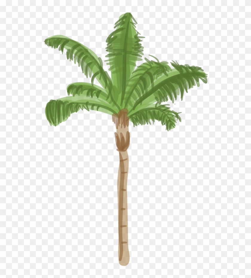 Canary Island Date Palm - Palm Tree #422691