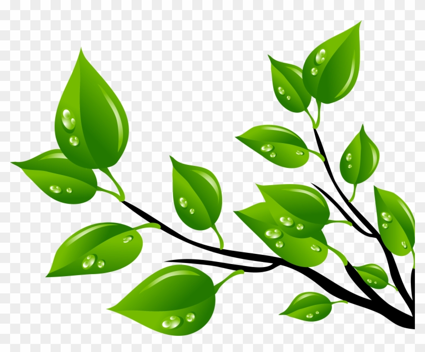 Hoja Verde Clip Art - Desenho De Folhas Verdes Png #422725