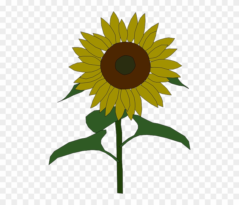 Outline, Yellow, Drawing, Plants, Sun, Flower, Flowers - Sunflower Clip Art #422744