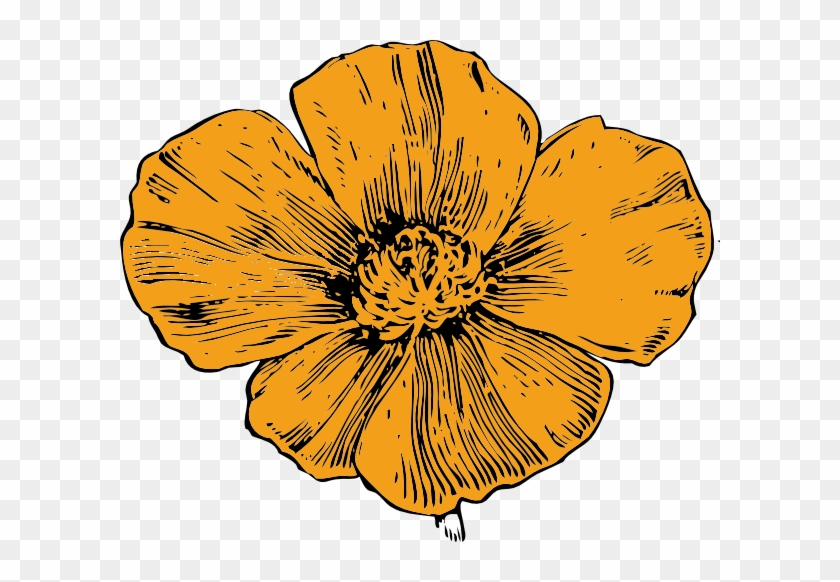 California Poppy Clip Art At Clker - California Poppy Flower Drawing #422745