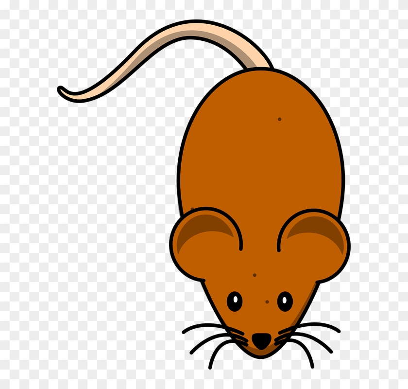 Cheese Cartoon Cliparts 29, Buy Clip Art - Mouse Clip Art #422824