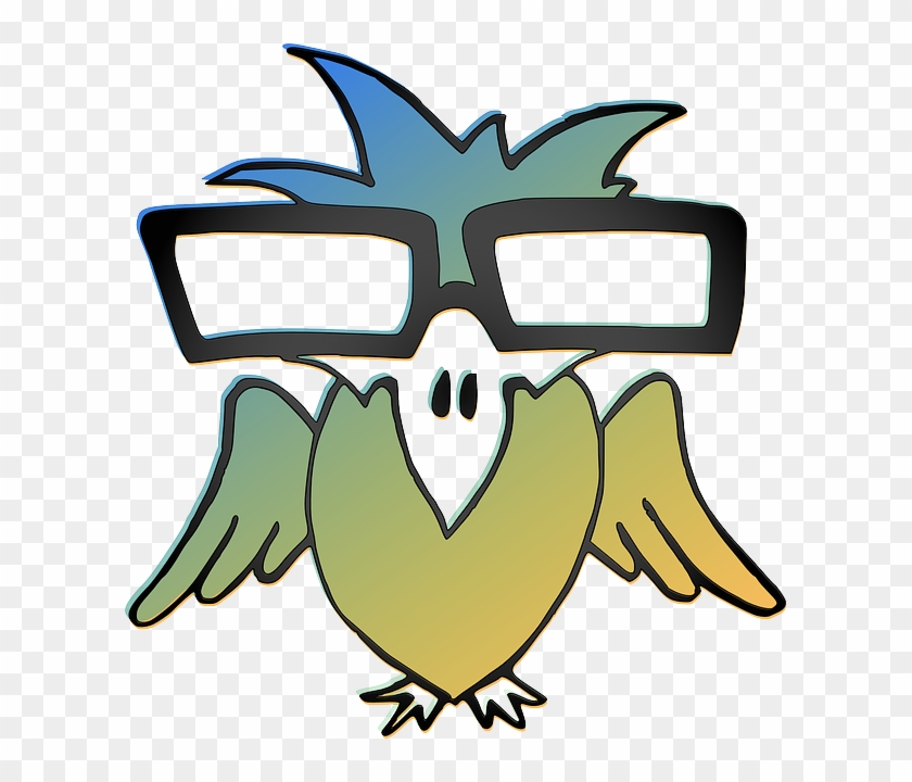 Animal Cartoon, Birds, Bird, Funny, Parrot, Glasses, - Cartoon Birds With Glasses #422895