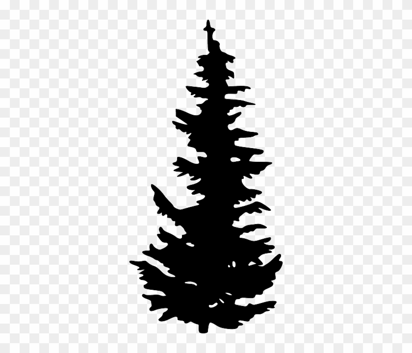 Shilouettes Of Trees - Pine Tree Silhouette Png #423121