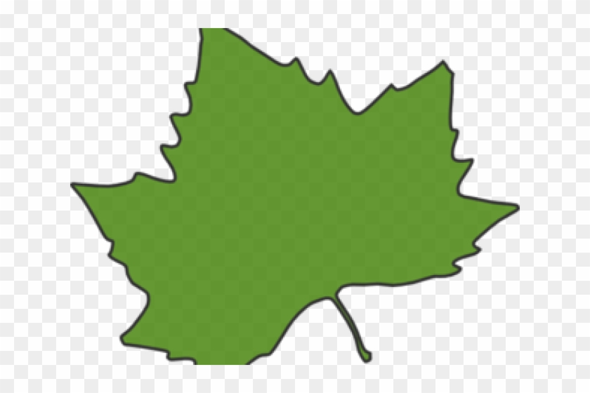 Maple Leaf Clipart Sycamore Leaf - Autumn Leaves Clip Art #423501