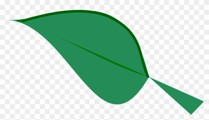 Green Leaf Clipart 12, - Dark Green Leaf Clipart #423652