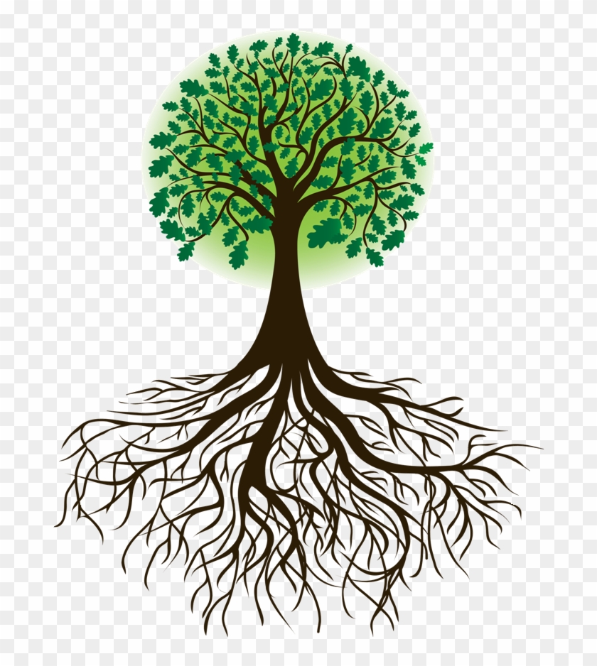 Roots Clipart Cartoon - Tree With Roots Clipart - Free Transparent PNG Clipart Images Download Roots Clipart Cartoon - Tree With Roots Clipart - Free Transparent PNG Clipart Images Download