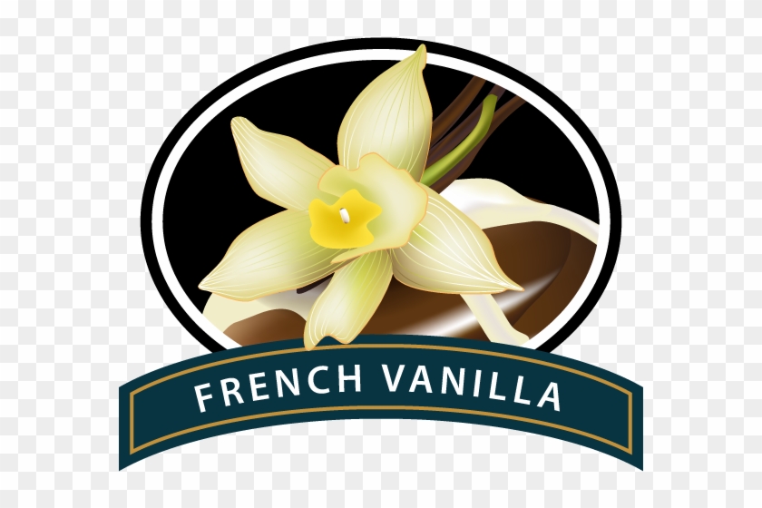 French Vanilla Coffee 1kg - French Vanilla Coffee Logo #423723