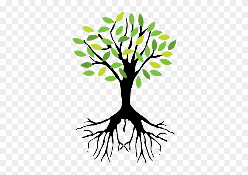 Perfect At Flynns Tree Pros We Always Offer Free Estimates - Tree With Roots Png #423739
