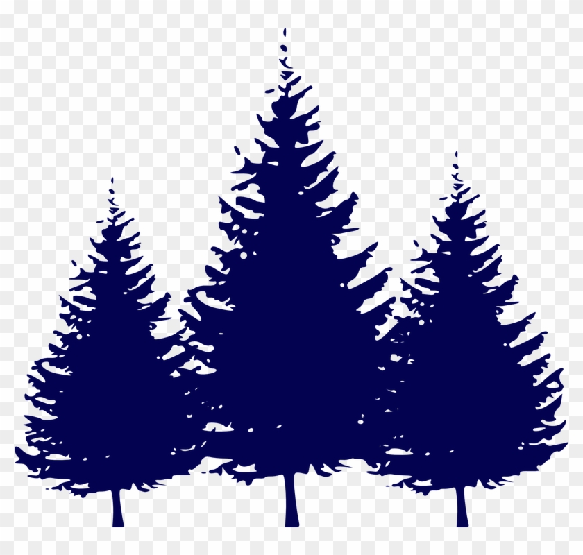 Fir Tree Clipart Three Pine - Evergreen Tree Silhouettes Hd #423808