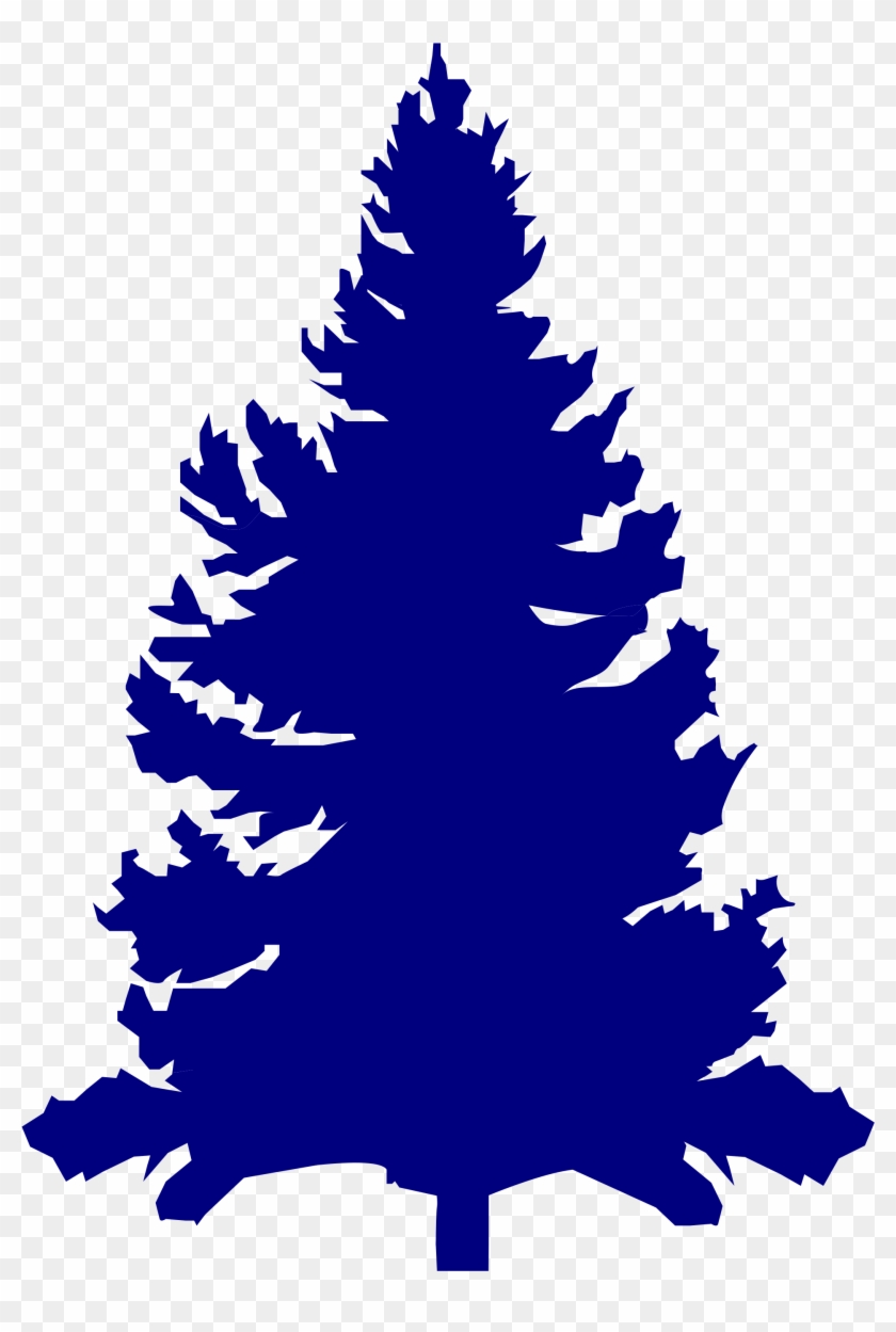 Pine Tree Graphic 25, - Education #423825