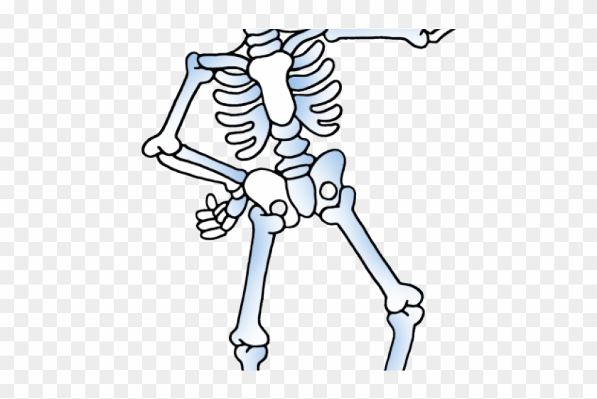Free Skeleton Cliparts - Skeleton Clipart #423904