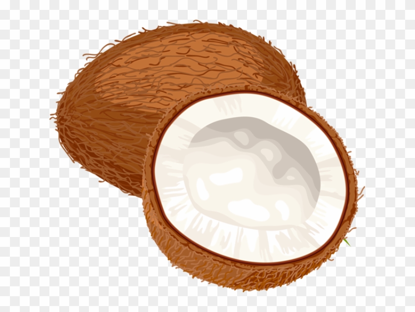 Coconut Curry Clipart Rh Worldartsme Com Basketball - Coconut Oil Miracle: 30+ Coconut Oil Recipes Coconut #424095