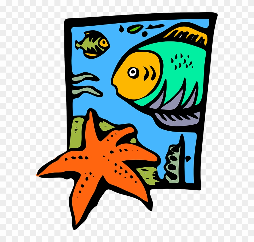 Starfish Drawing Cliparts 23, Buy Clip Art - Marine Clip Art #424191