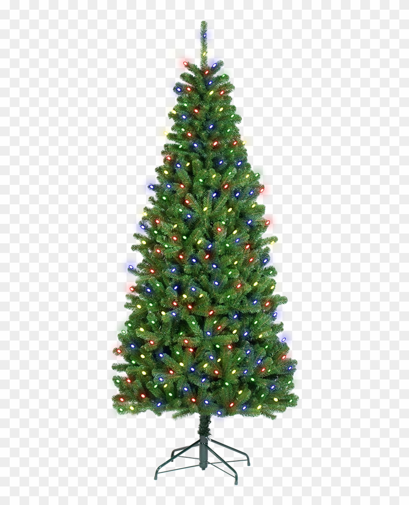 Diameter Of Your Christmas Tree - Christmas Tree 4 Foot #424210