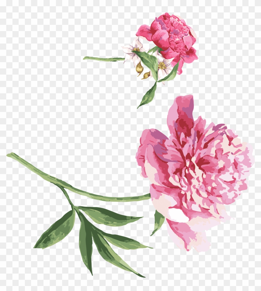 Moutan Peony Watercolor Painting Download - Get Well Soon And Speedy Recovery #424309