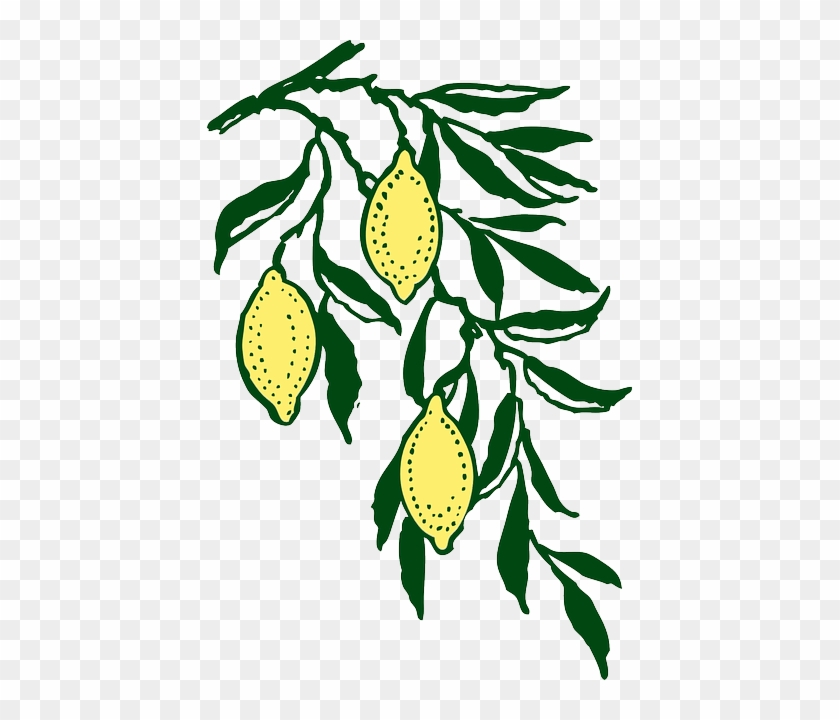 Yellow, Leaf, Tree, Cartoon, Branch, Free, Lemon - Lemon Branch Clip Art #424384