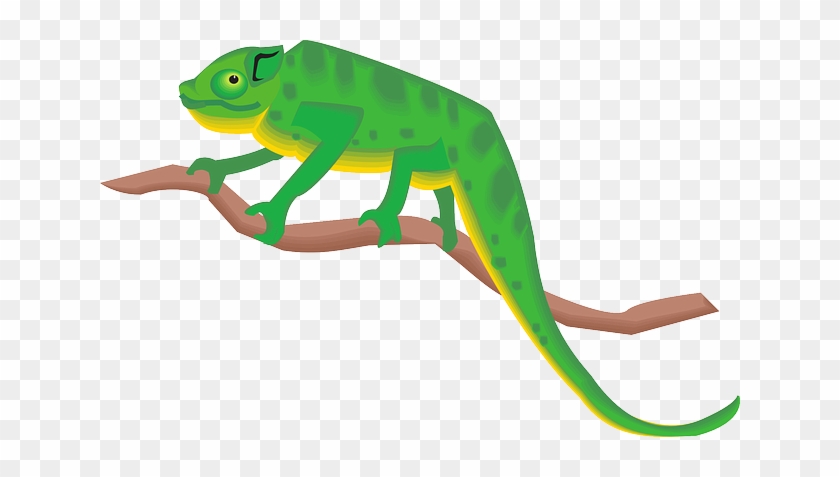 Green, Cartoon, Branch, Art, Standing, Chameleon - Chameleon Clipart Png #424386