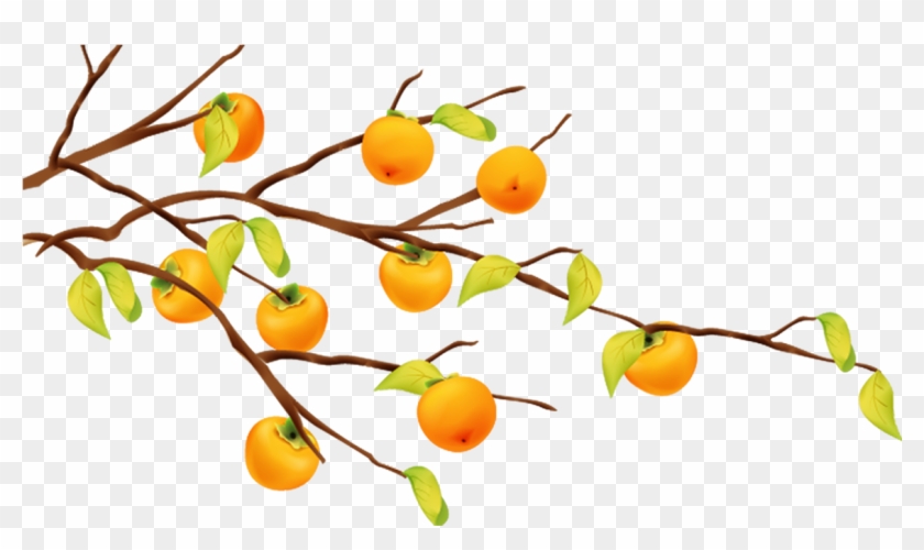 Cartoon Fruit Tree Tangerine - Orange Tree Cartoon #424446