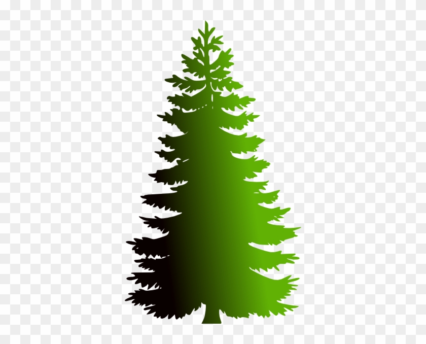 Evergreen Tree Clip Art Black And White #424787