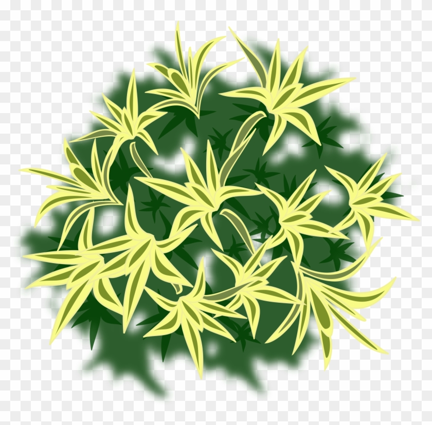 This Free Icons Png Design Of Plant-01a - American Witch Hazel #424978
