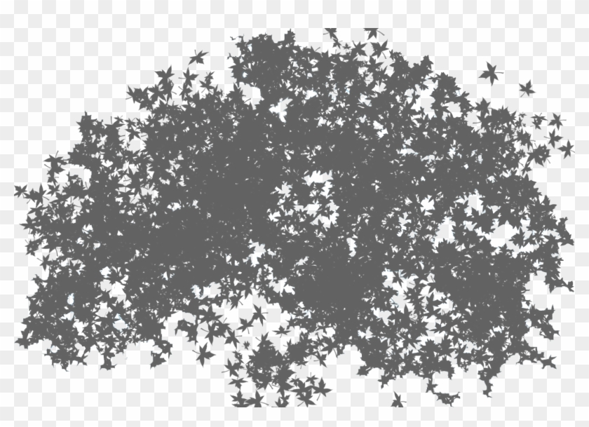 Top Tree Png - Tree #425004