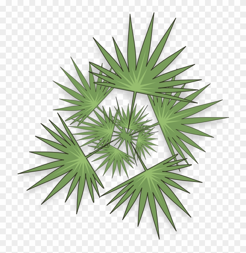 Clipart - Palm-03 - Planta Para Photoshop #425011