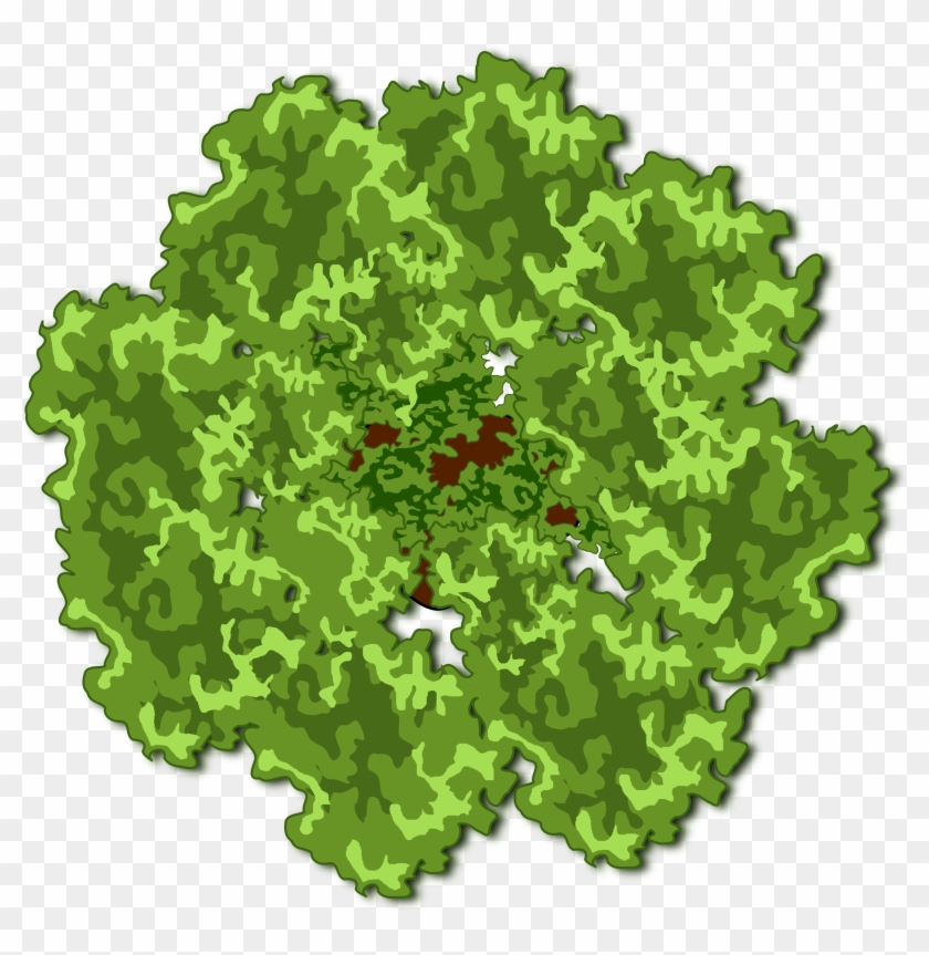 This Free Icons Png Design Of Tree-29 Top View - This Free Icons Png Design Of Tree-29 Top View #425028