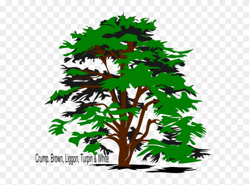 Tree, Family Reunion Png Clip Art - Cedar Tree Clip Art #425073