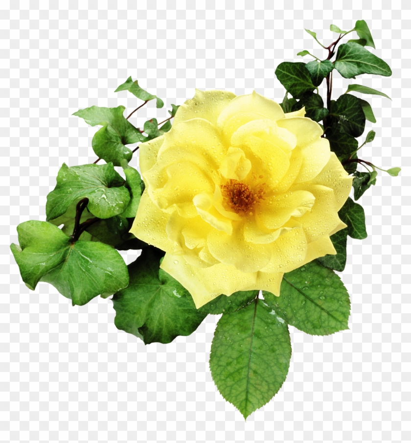 Flower Bouquet Garden Roses Clip Art - Flower Bouquet Garden Roses Clip Art #425576