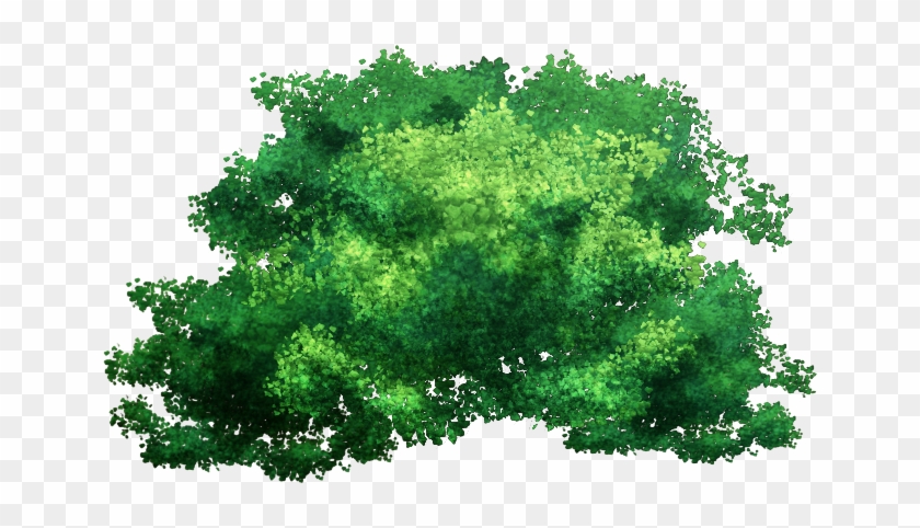 Tree Top Png Pack By Tia-n - Wargame Jungle #425469