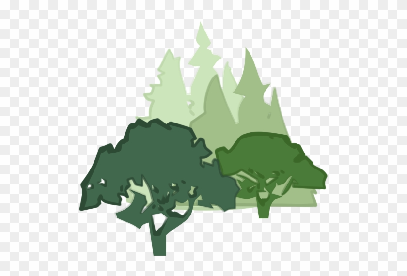Guidelines For Developing And Evaluating Tree Ordinances - Tree #425484