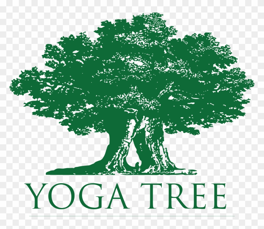 A Parayoga Immersion With Yogarupa Rod Stryker At Yoga - Yoga Tree Sf #425490