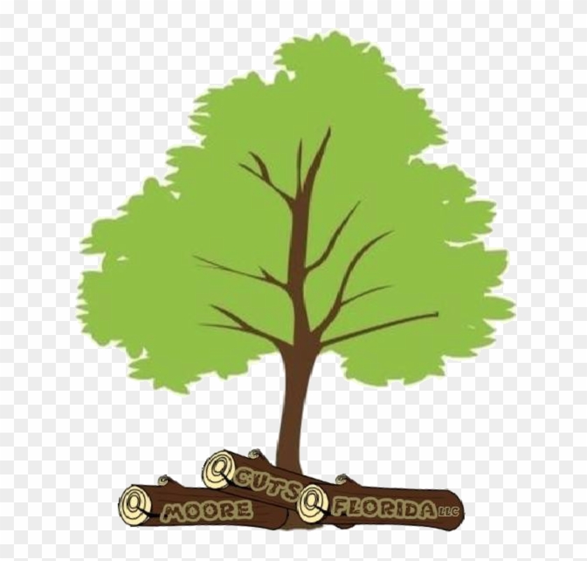 Tree Trimming Tampa - Family Tree Prezi Template #425503