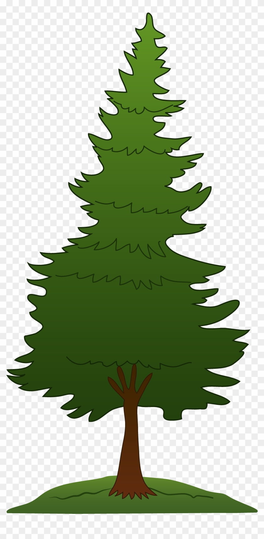 Redwood Tree Clip Art - Clip Art Pine Tree #425610