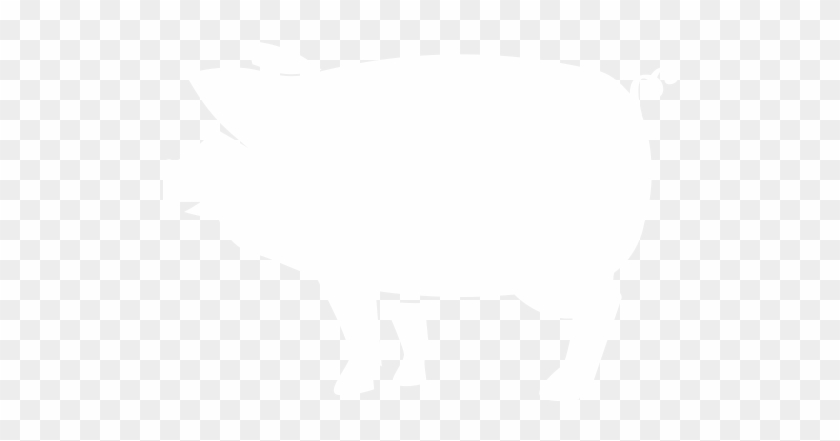 Schweinefleisch - Pig #425656