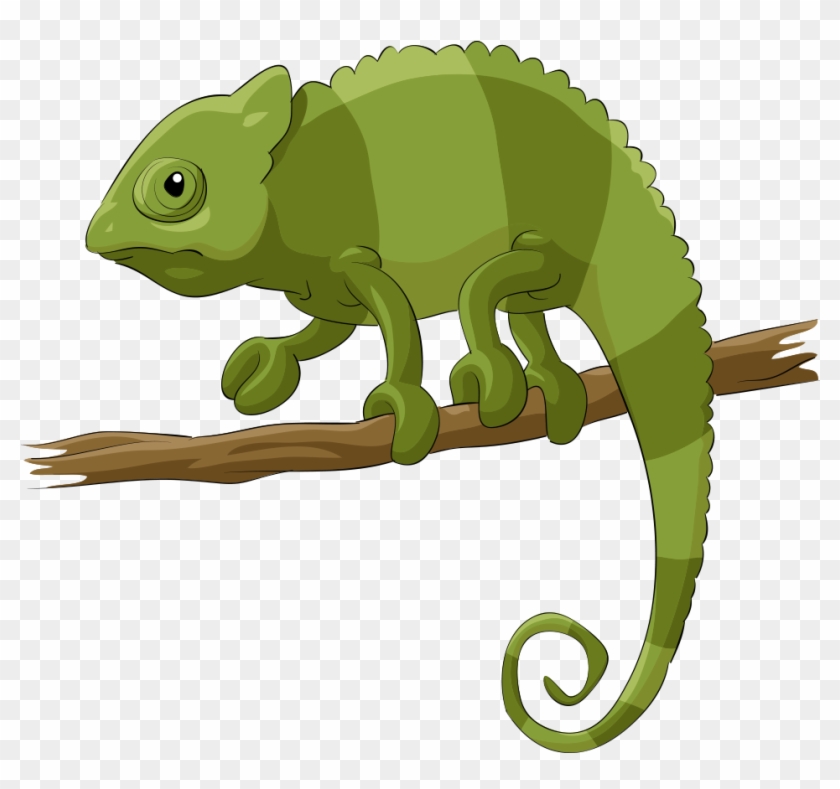 Chameleons Lizard Reptile Cartoon - Chameleon Vector #425680