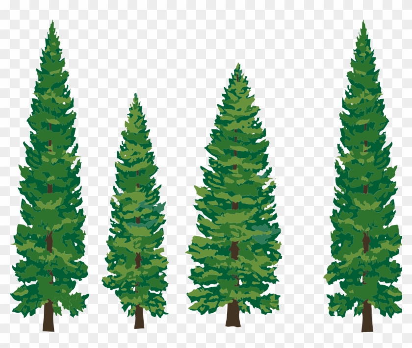 Redwood Tree With Face Clipart Png - Transparent Pine Tree Clip Art #425729