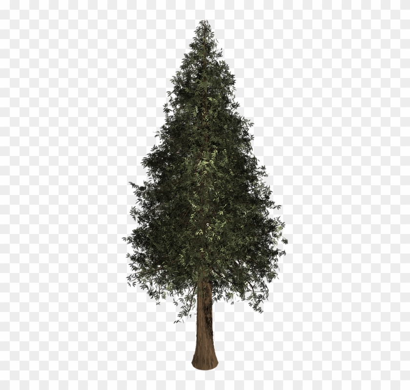 Evergreen Tree Outline 7, Buy Clip Art - Pine #425749