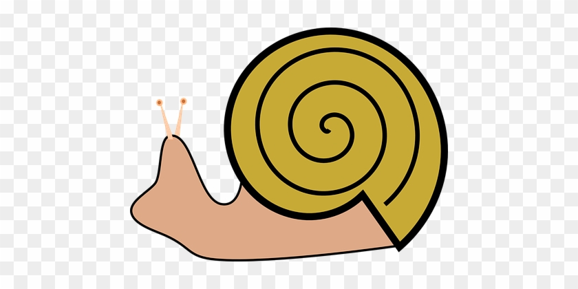 Weinrebe Schnecke, Schnecke - Snails Clipart #425763