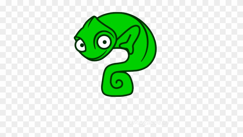 Организаторы Chameleon Quiz В Могилеве - Quiz #425862