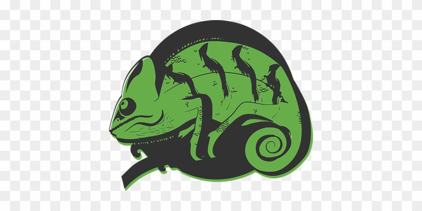 Illustration Chameleon Green Nature Print - Chameleon Head Png #425905