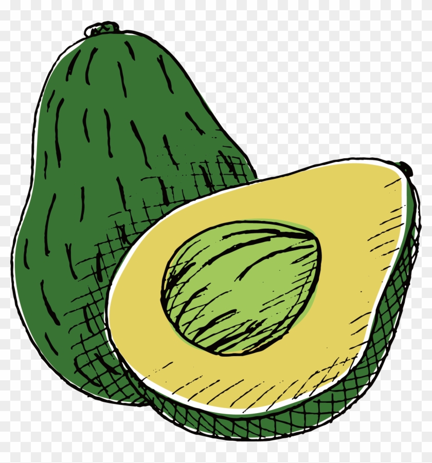 Avocado Drawing - Avocado Drawing Png #425959