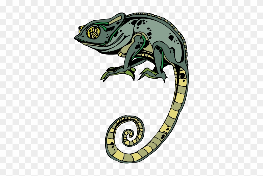 Lizard - Vector Graphics #426020