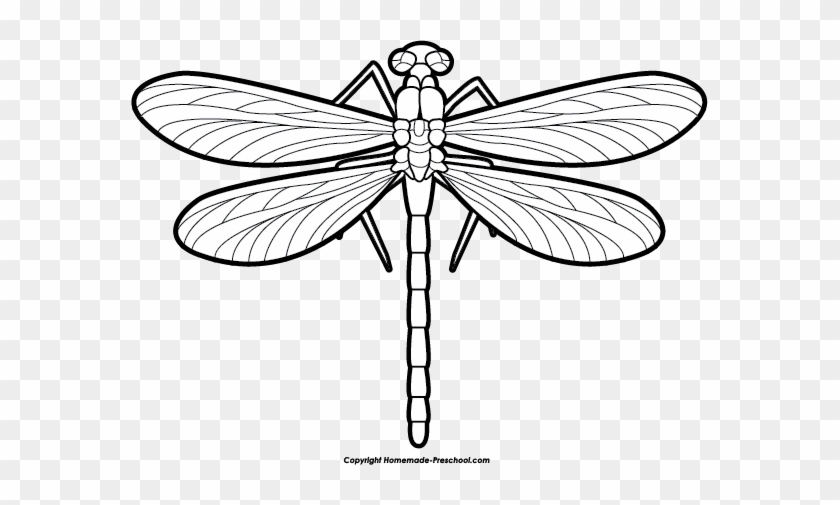 Free Dragonfly Clipart - Dragon Fly Clip Art #426066
