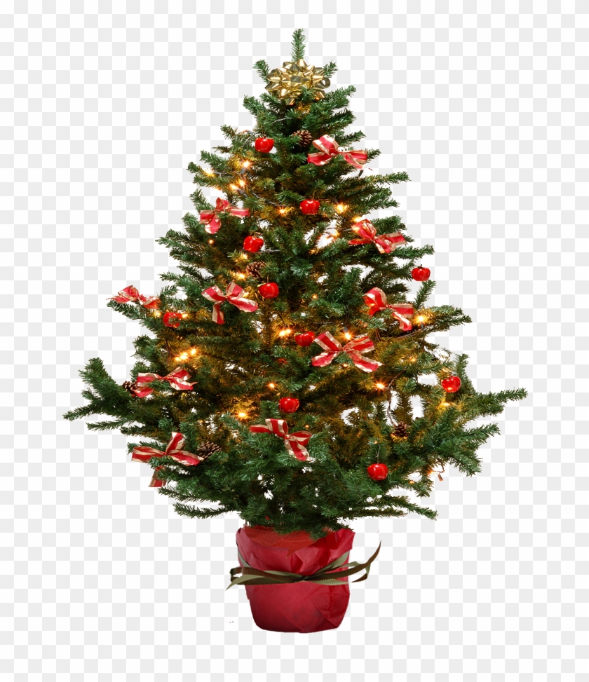 Image - Small Christmas Tree Png #426104