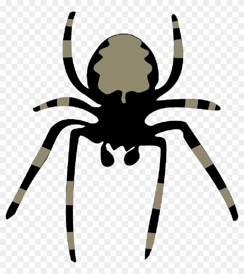 Horror Spider, Insect, Arachnoid, Animal, Nature, Fear, - Clip Art Spider #426118