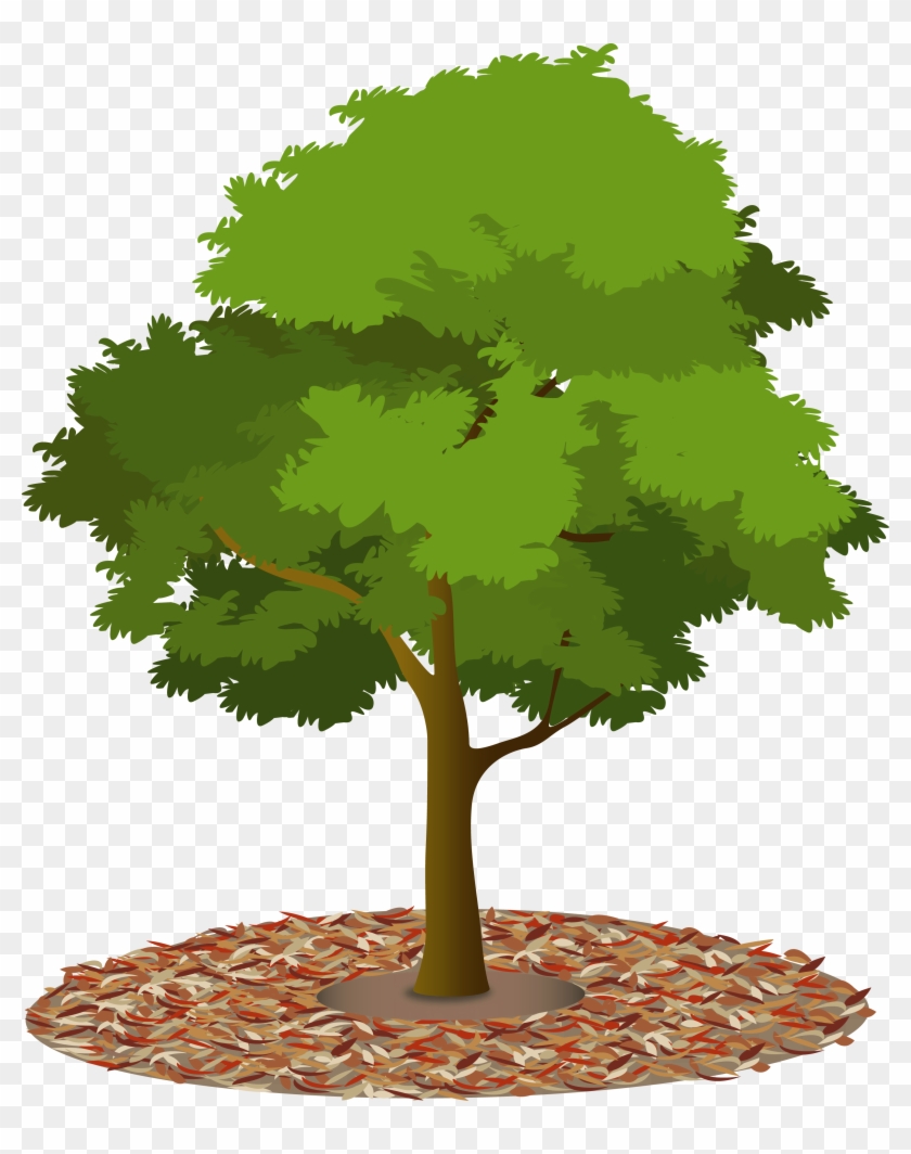 Trees And Water Are Precious Resources - Flat Tree Png #426156